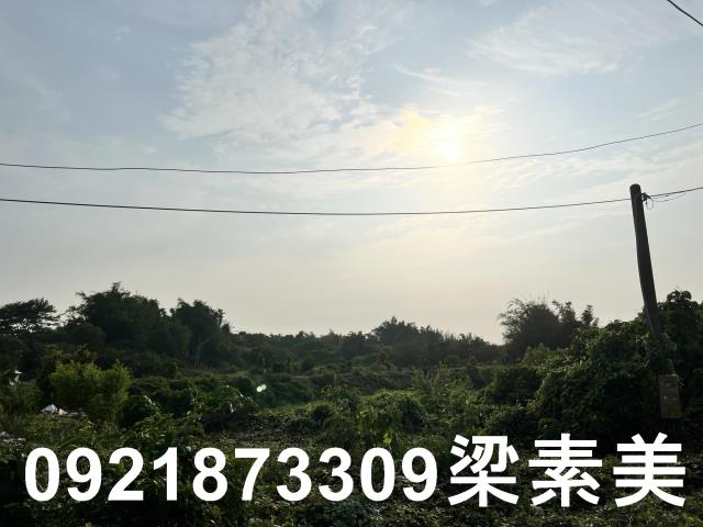 柳營農地-7