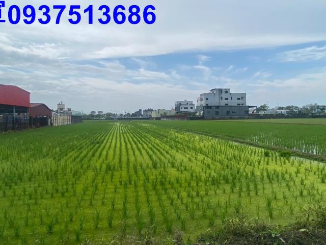 宜蘭市農地-1