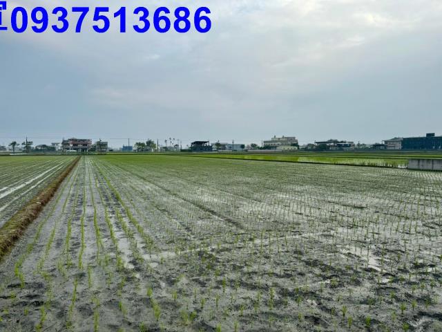 宜蘭農地-6
