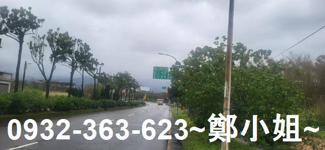 新北金山農地-8