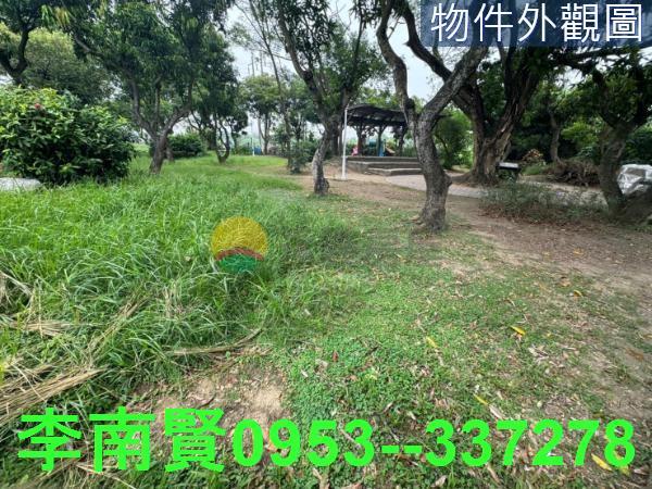 台南新市農地-8