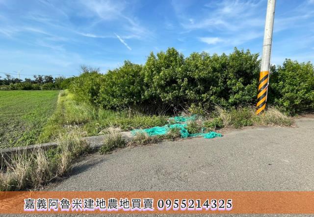 雲林四湖農地-3