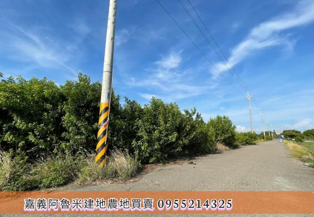 雲林四湖農地-4