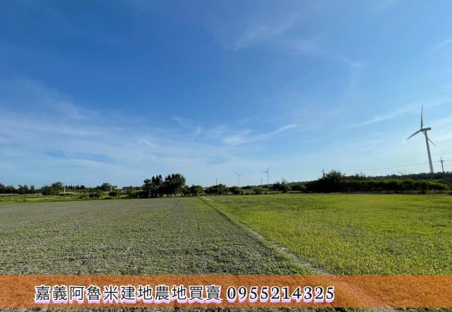 雲林四湖農地-5