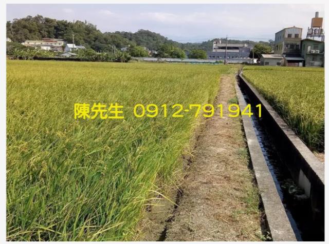 頭份農地-3