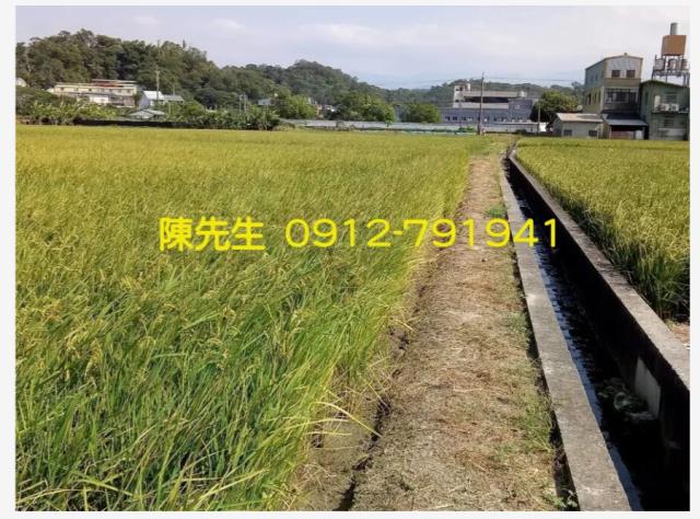 頭份農地-3
