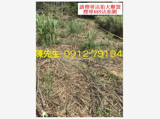苗栗三灣農地-2