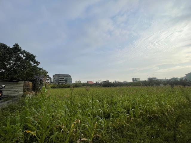 永康農地-11
