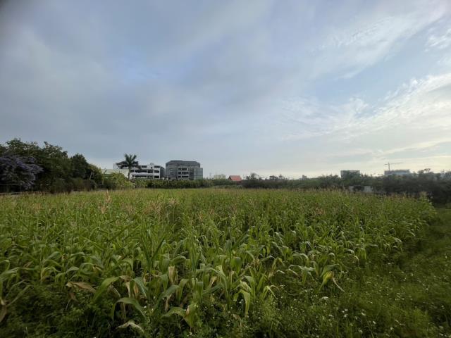 永康農地-2