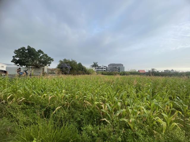 永康農地-3
