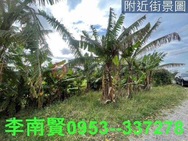 台南農地-7