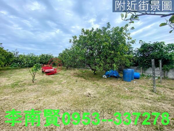 台南麻豆農地-1