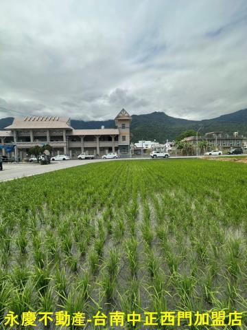 台東關山農地-4