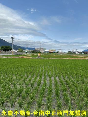 台東關山農地-7