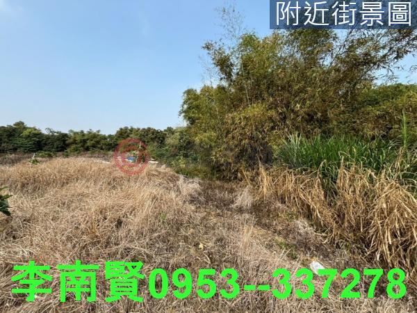 台南大內農地-2