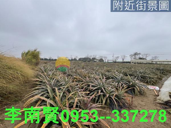 台南新市農地-1