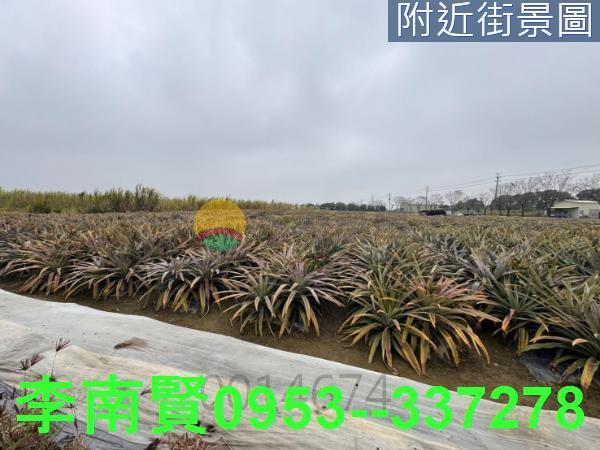 台南新市農地-7