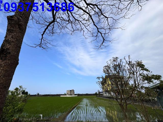 壯圍農地-8