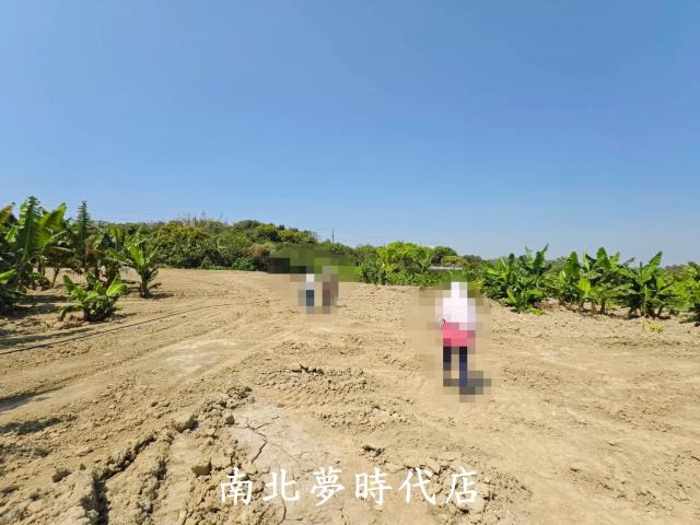 台南新化農地-1