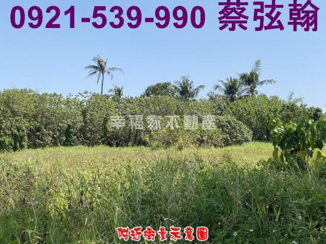台南歸仁農地-11