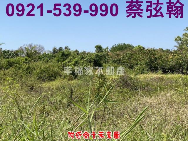 台南歸仁農地-13