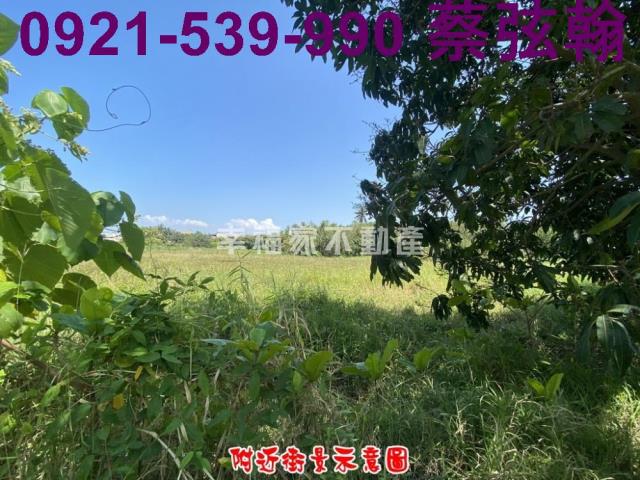 台南歸仁農地-3