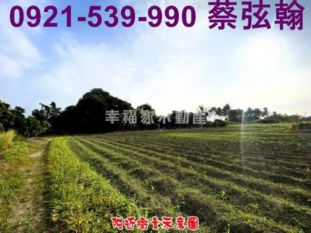 台南歸仁農地-8