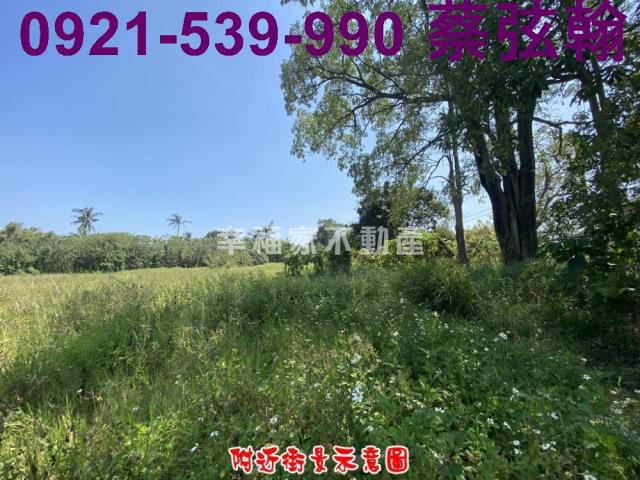 台南歸仁農地-9