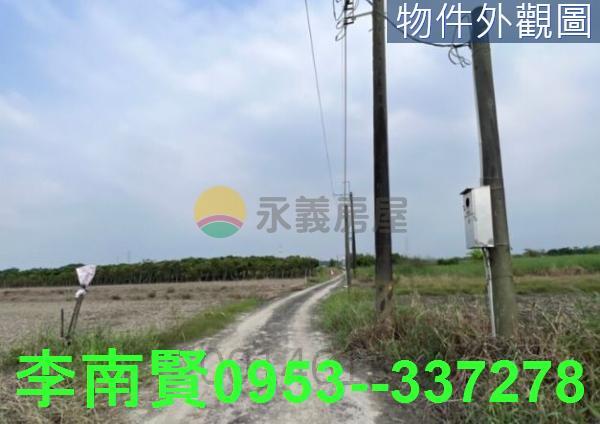 歸仁農地-2