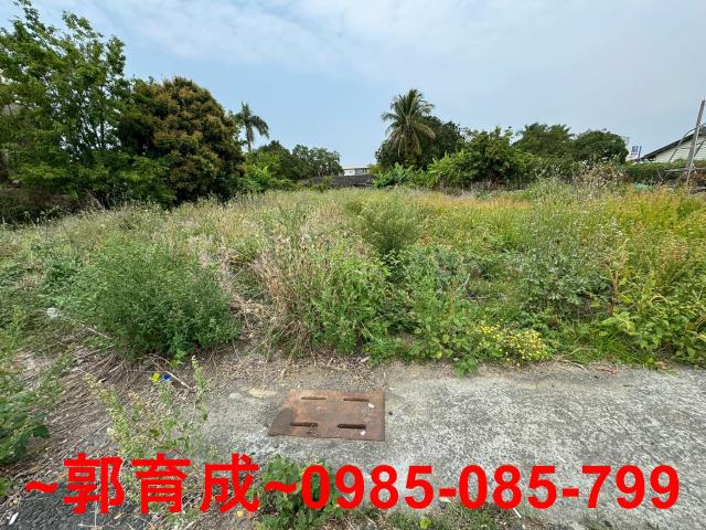 台南東山建地-2