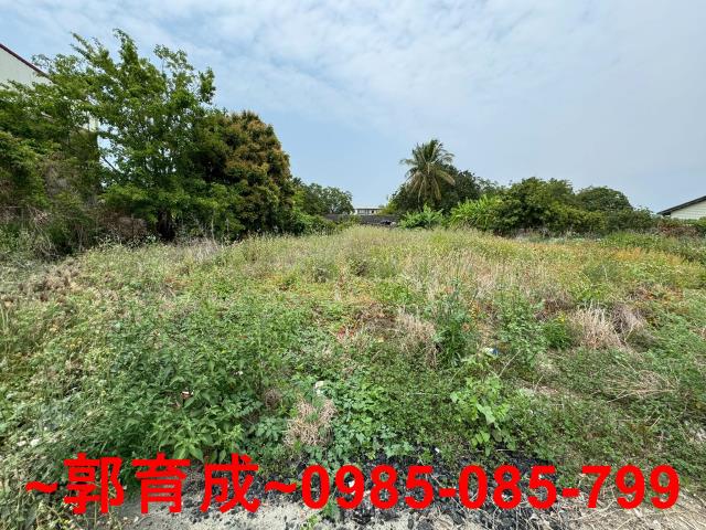台南東山建地-6