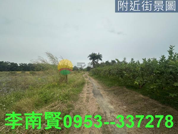 新化農地-6