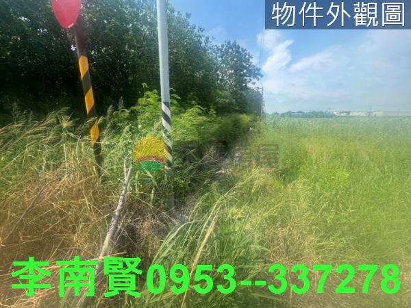 台南新市農地-2