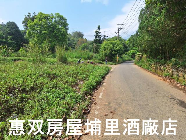 南投埔里農地-1