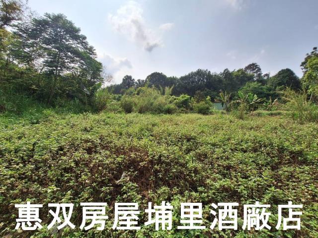 南投埔里農地-2