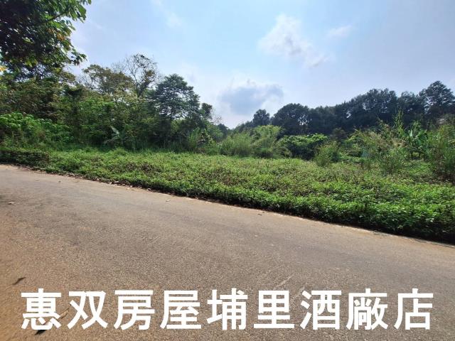 南投埔里農地-3