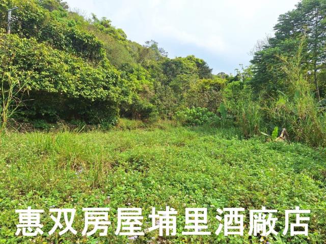 南投埔里農地-4