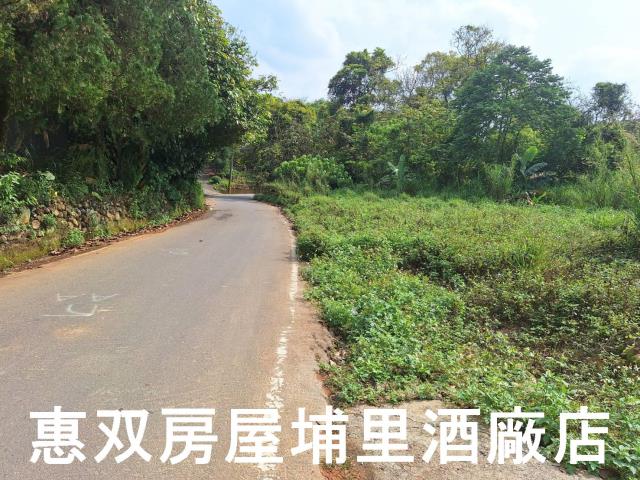 南投埔里農地-6