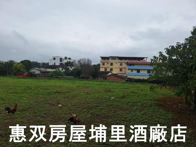 南投埔里建地-2