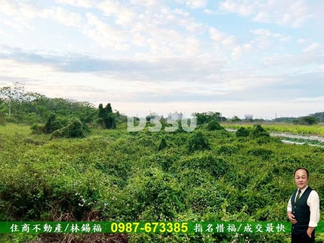 台南安定農地-11