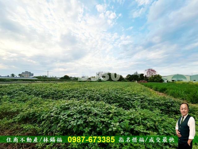 台南安定農地-4