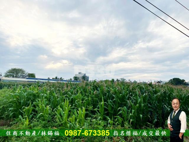 台南安定農地-6
