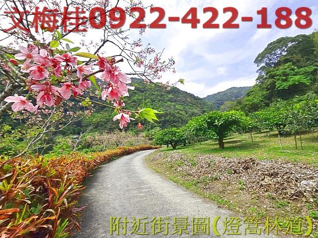 員山農地-6
