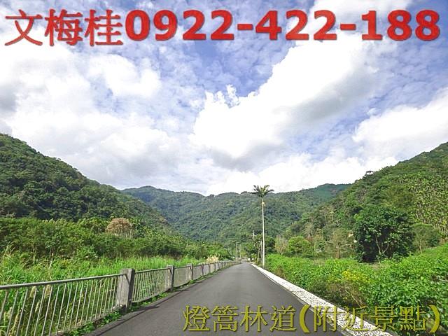 員山農地-7