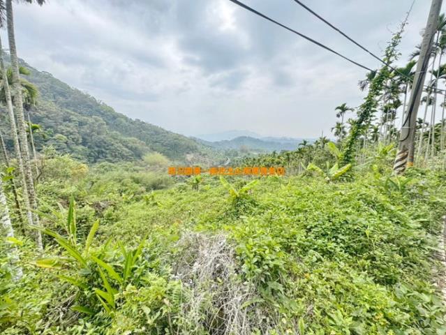 南投中寮山坡地-5