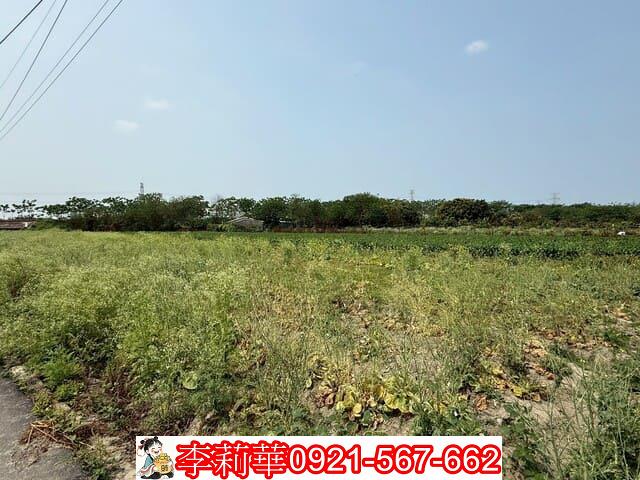 仁德農地-4