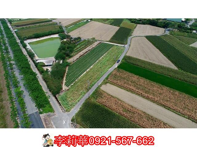 仁德農地-5