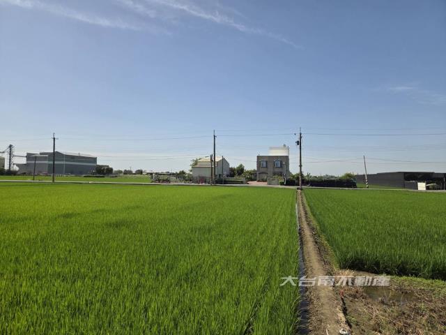 六甲農地-1