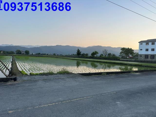 三星農地-15