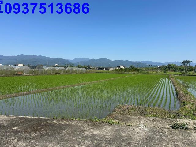 三星農地-12